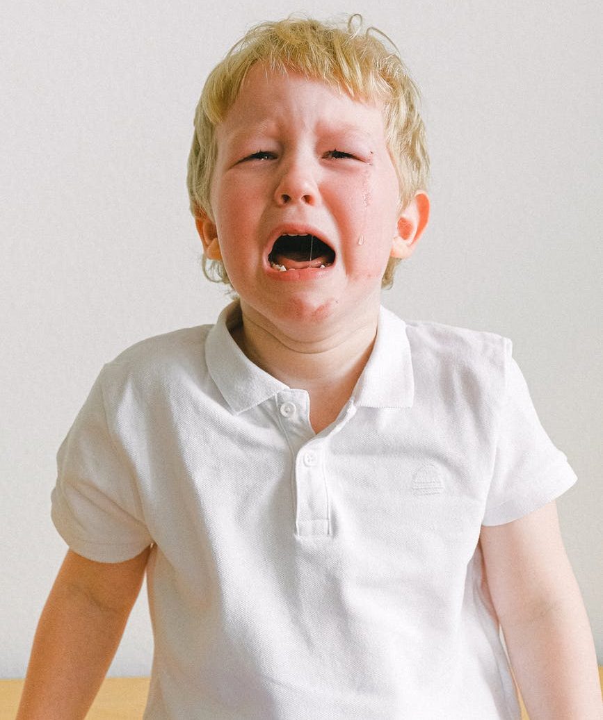 Tips to Deal with Separation Anxiety Bloom and Grow Daycare